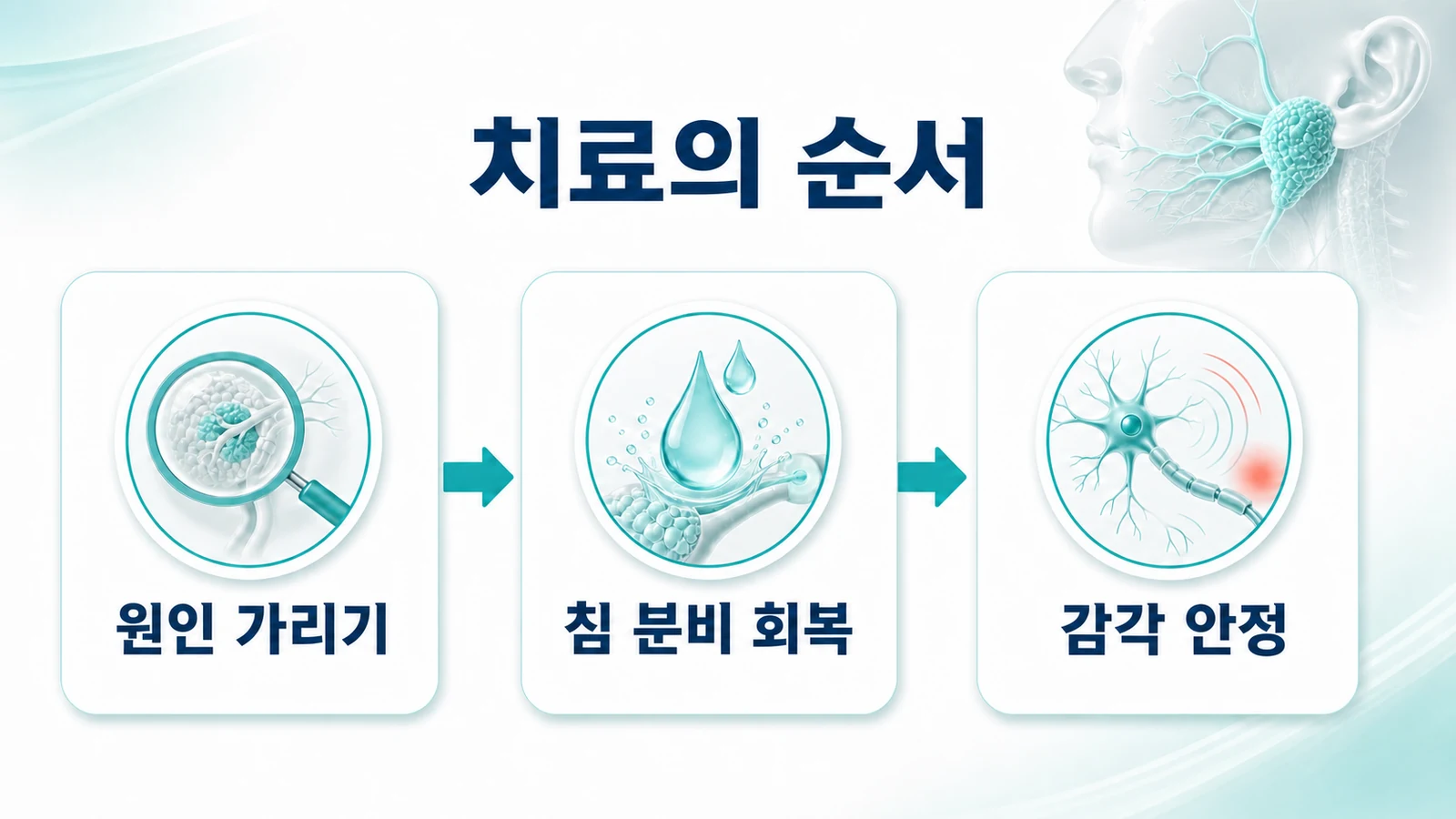 치료의 순서 — 원인 가리기·침 회복·감각 안정