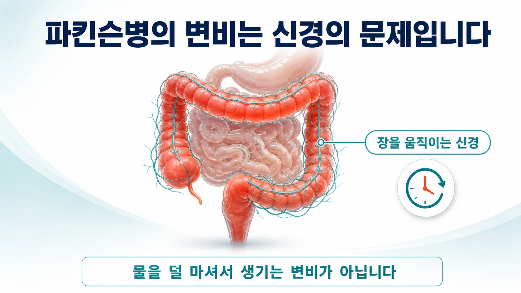 파킨슨병 변비, 유산균이 도움이 될까
